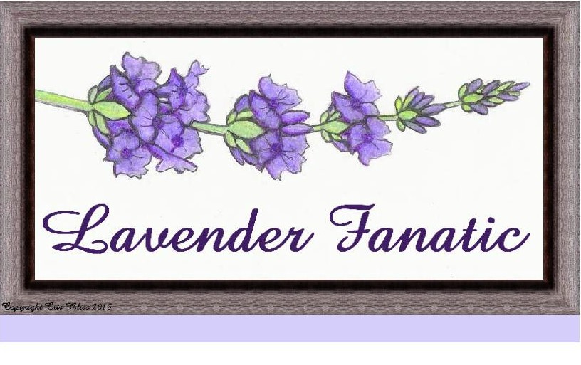 Lavender Fanatic Products and Gifts.