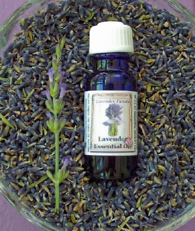 Lavender Essential oil by Lavender Fanatic.